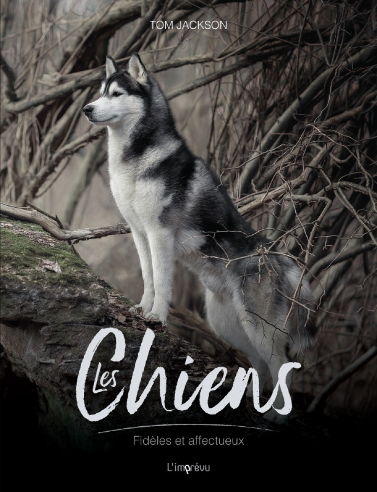 Les chiens - Tom Jackson, Tom Jackson - L IMPREVU