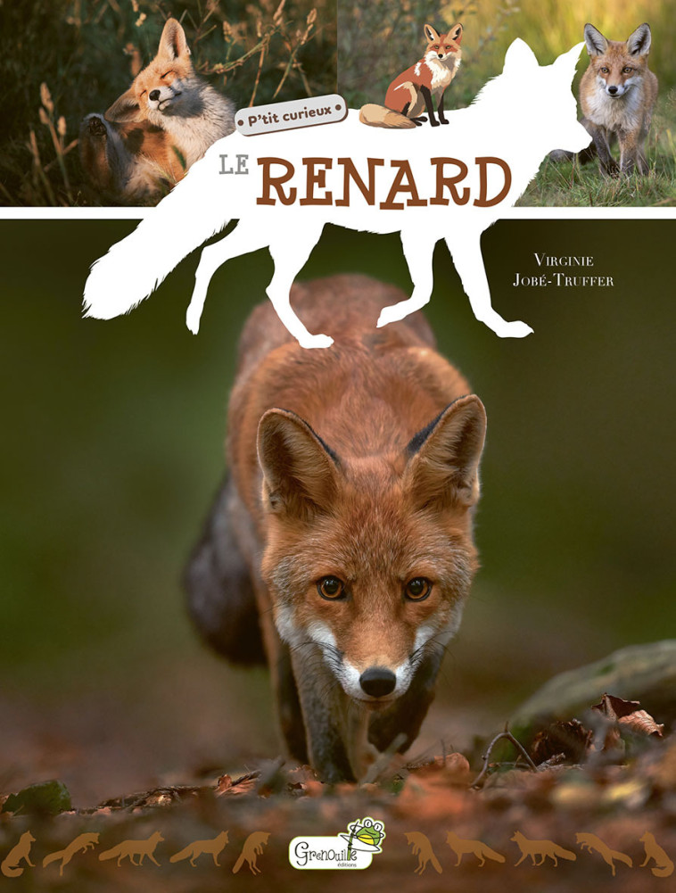 LE RENARD - VIRGINIE JOBE-TRUFFER - GRENOUILLE