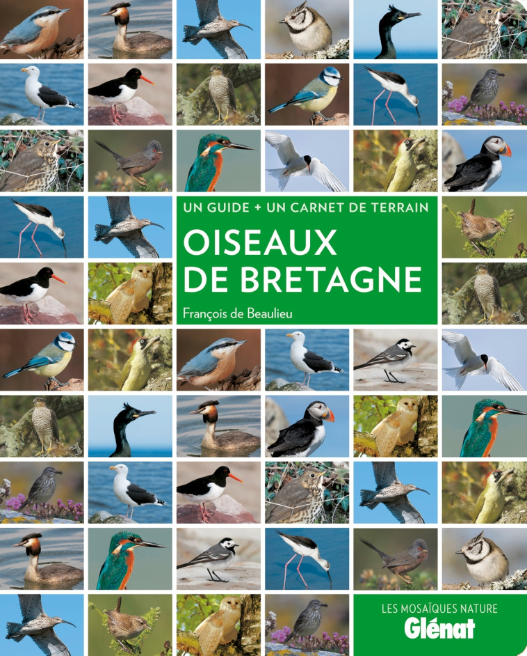 Oiseaux de Bretagne - François Beaulieu - GLENAT