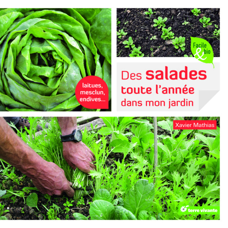 Des salades toute l'année dans mon jardin - Xavier Mathias - TERRE VIVANTE