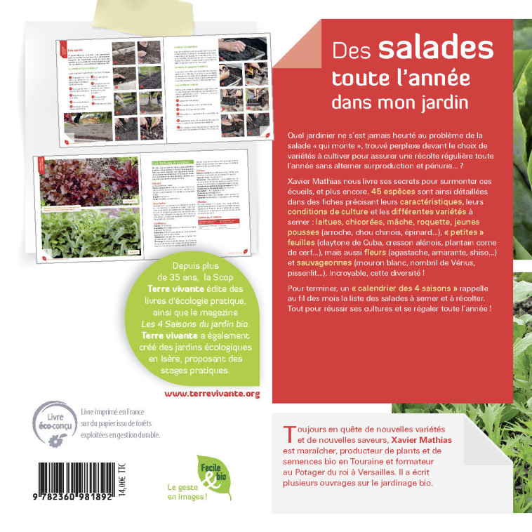 Des salades toute l'année dans mon jardin - Xavier Mathias - TERRE VIVANTE