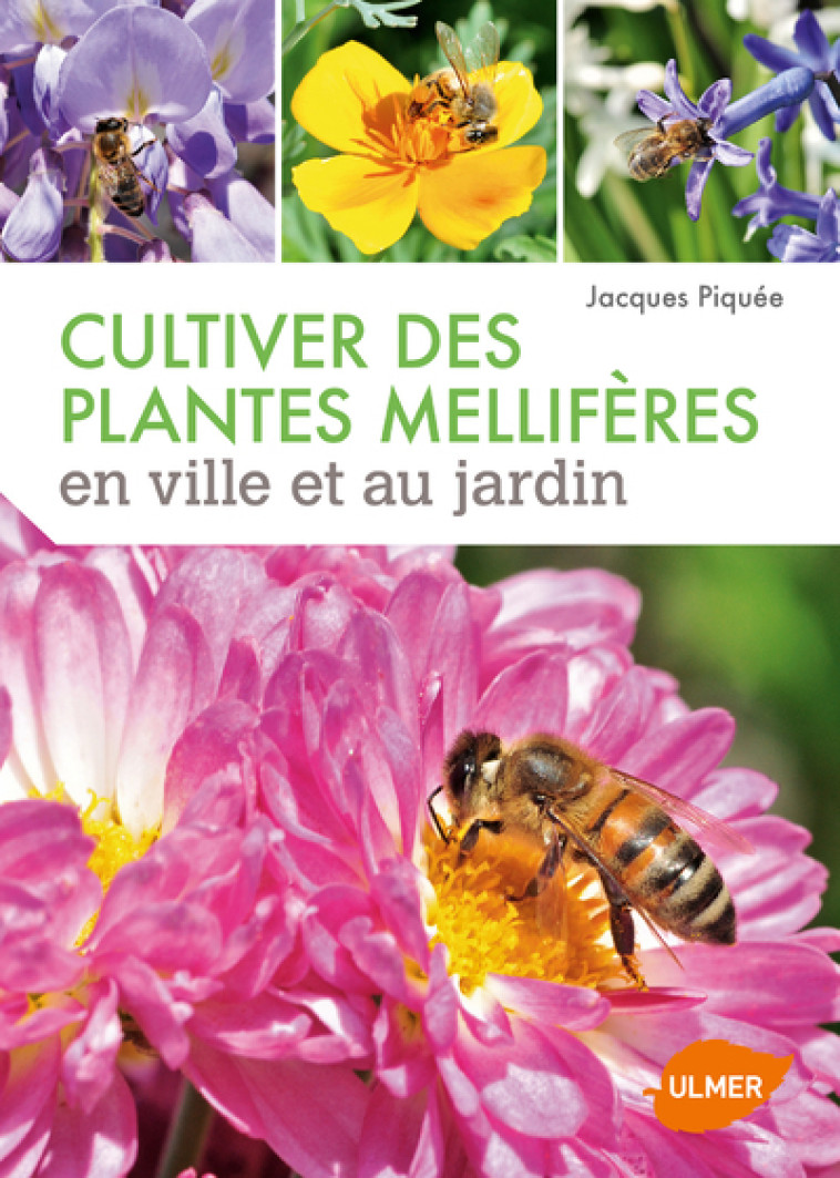 Cultiver des plantes mellifères en ville et au jardin - Jacques Piquée - ULMER