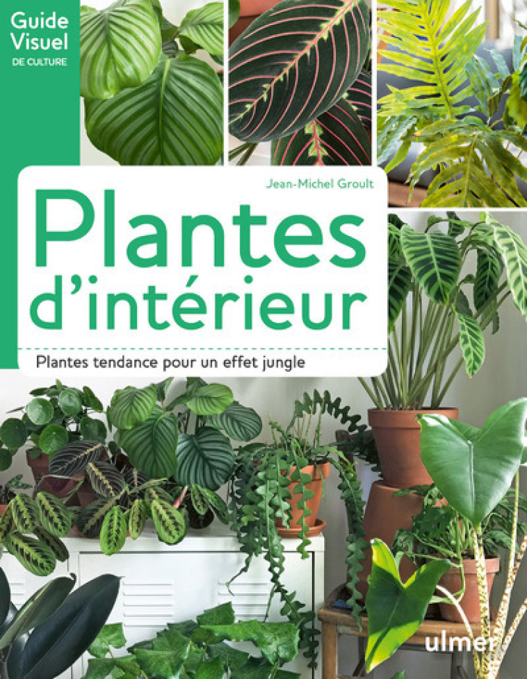 Plantes d'intérieur - Jean-michel Groult - ULMER