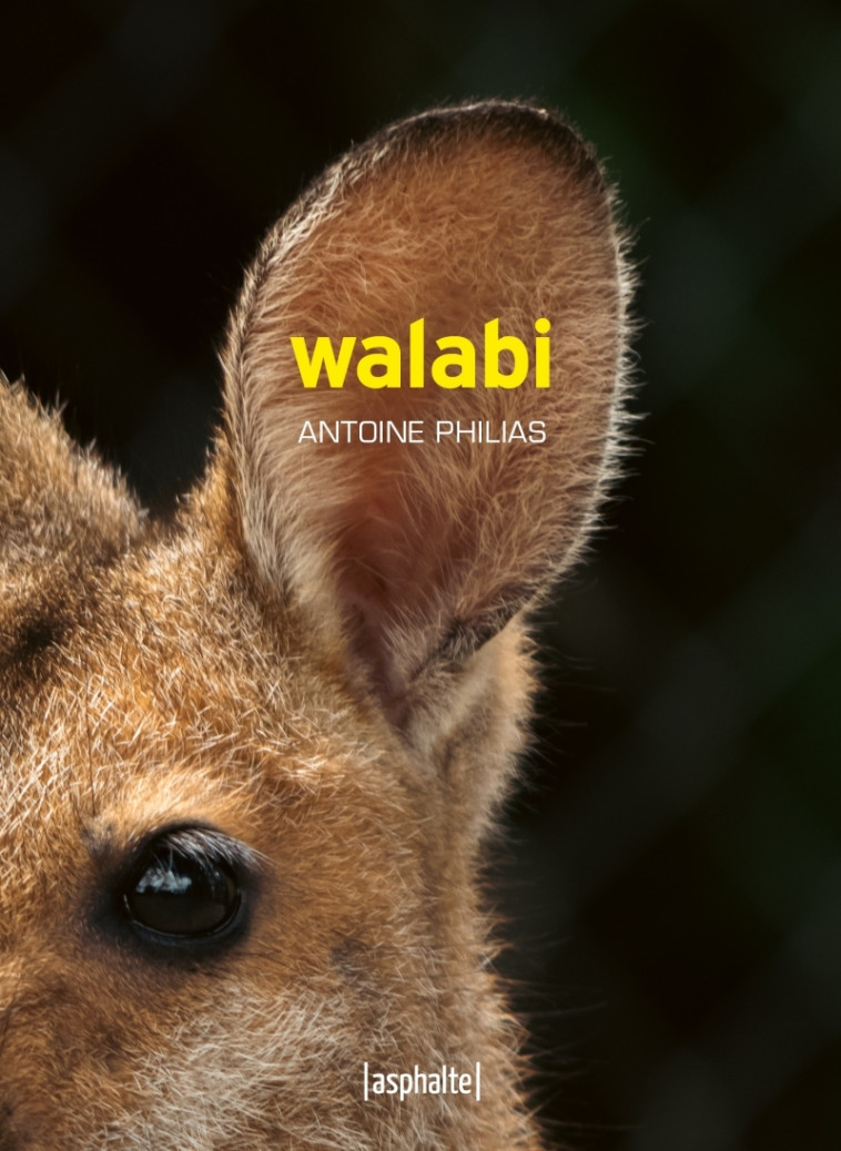 Walabi - Antoine Philias - ASPHALTE