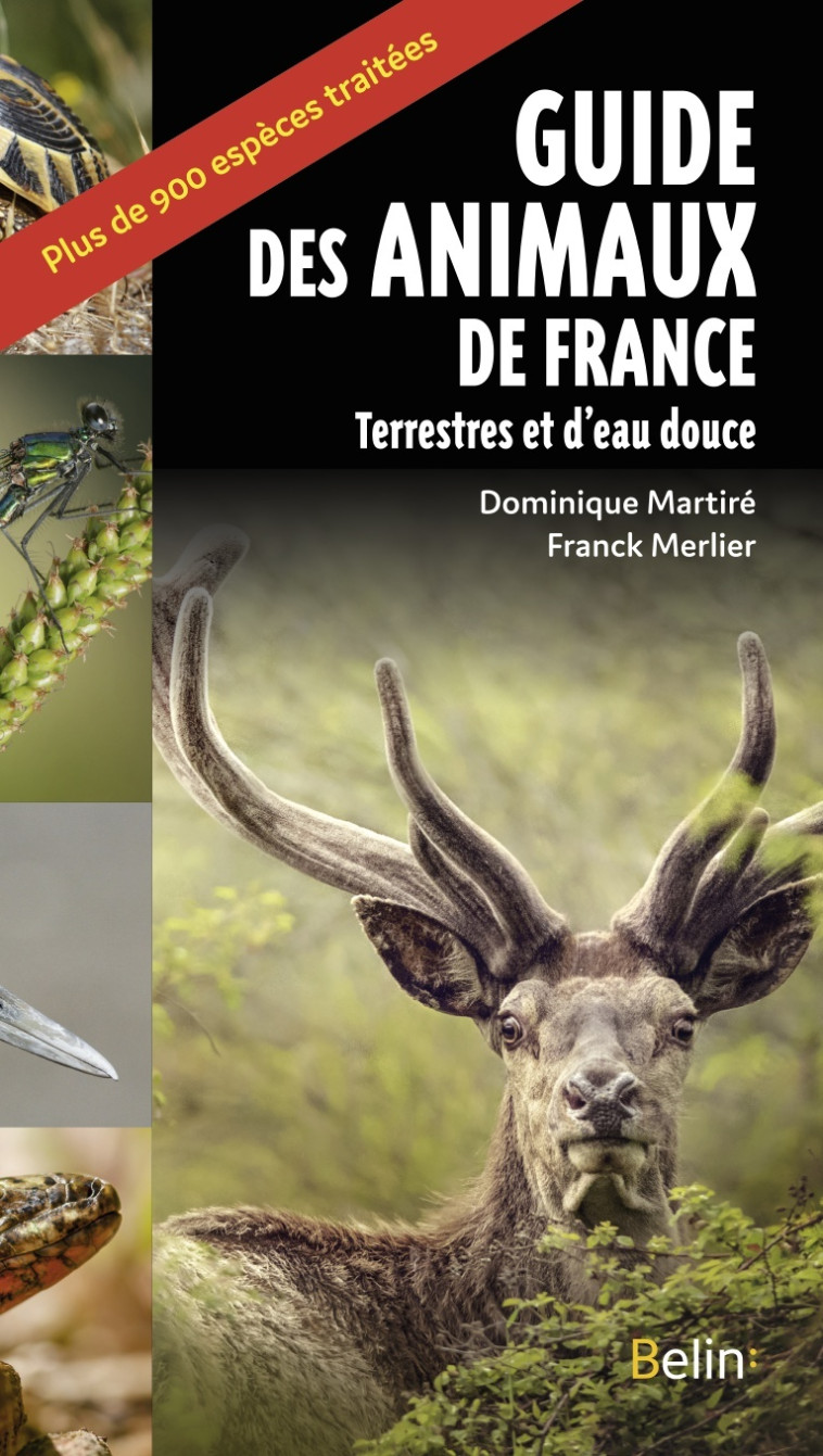 Guide des animaux de France - Franck Merlier, Dominique Martiré, Guillaume Eyssartier - BELIN