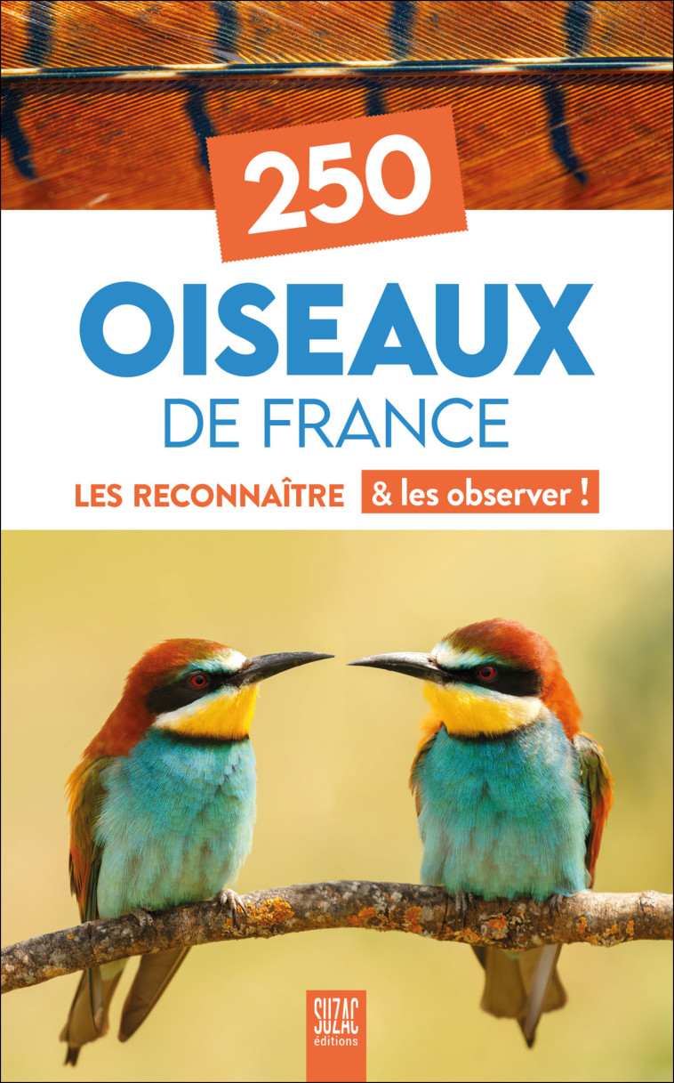 250 oiseaux de France -  Collectif,  Collectif - SUZAC