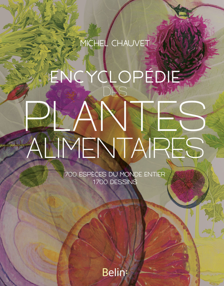 Encyclopédie des plantes alimentaires - Michel Chauvet, Michel Chauvet - BELIN