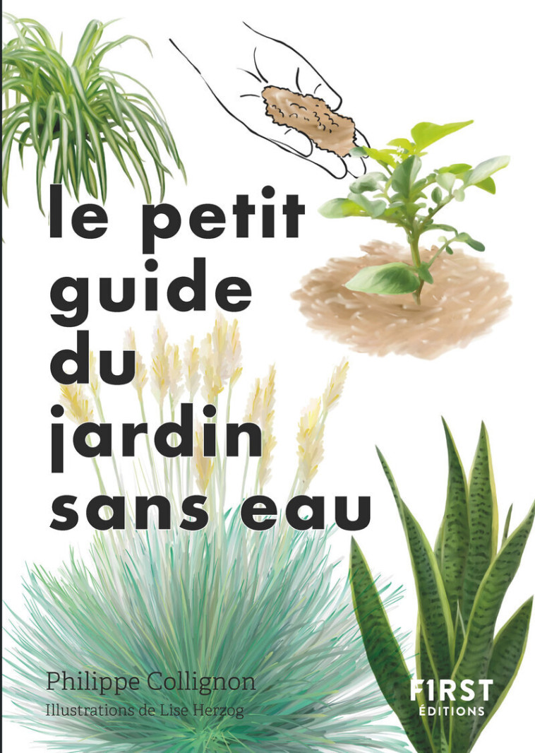 Le Petit guide Jardin sans eau - Philippe Collignon, Lise Herzog - FIRST