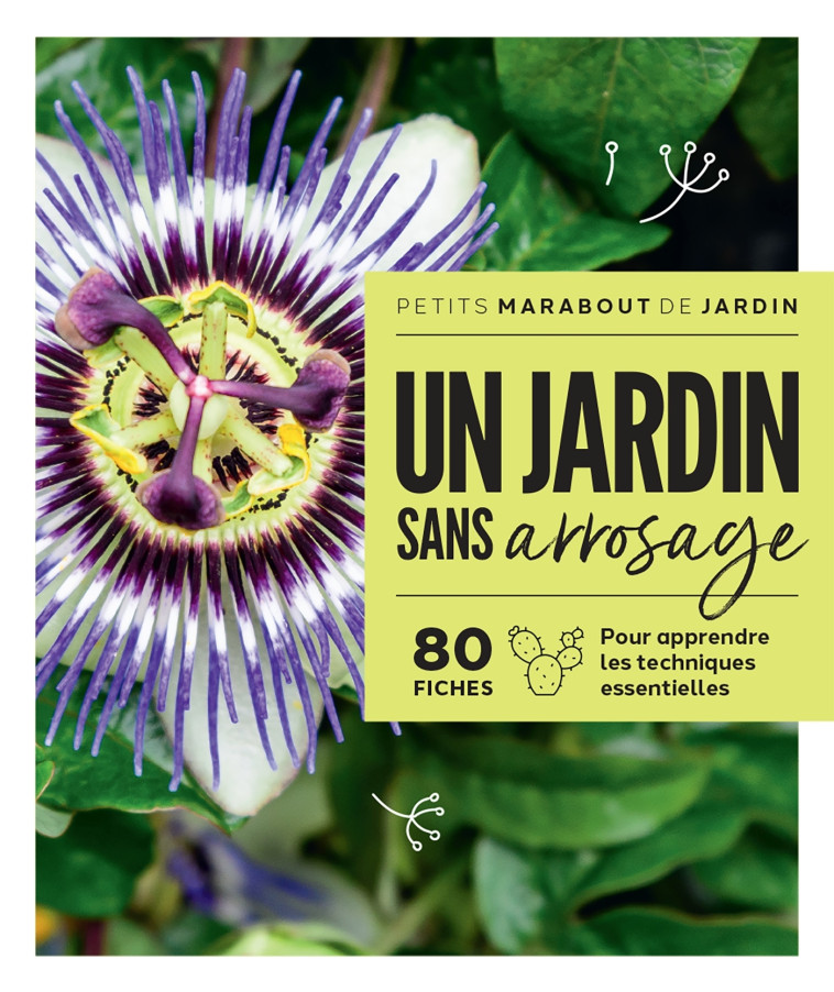 Un jardin sans arrosage -   - MARABOUT